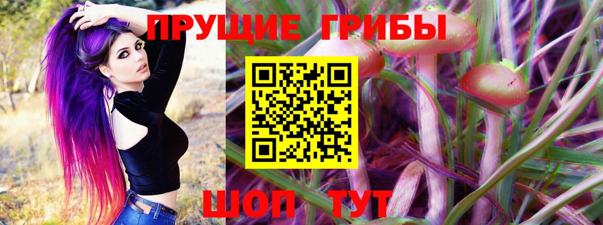 Галлюциногенные грибы мицелий Асино